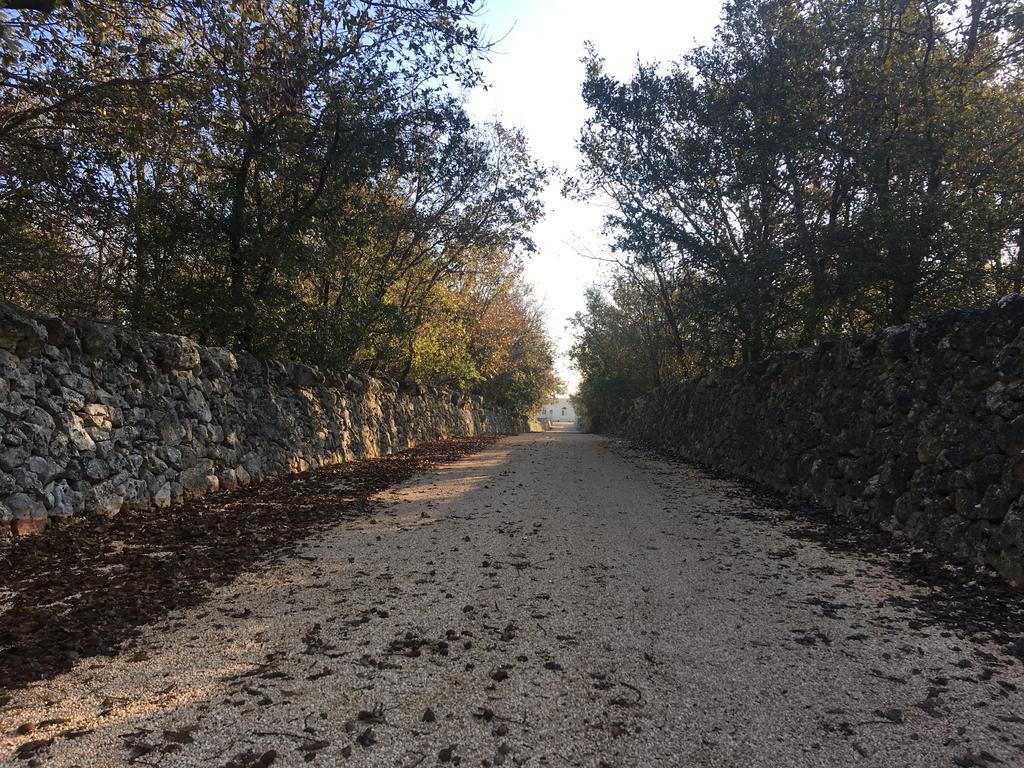 Alloggio per agriturismo Materiis